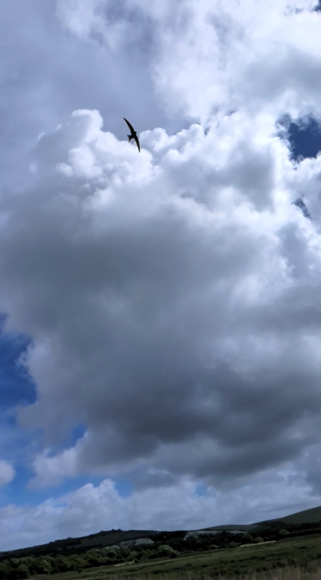 In_sky.jpg