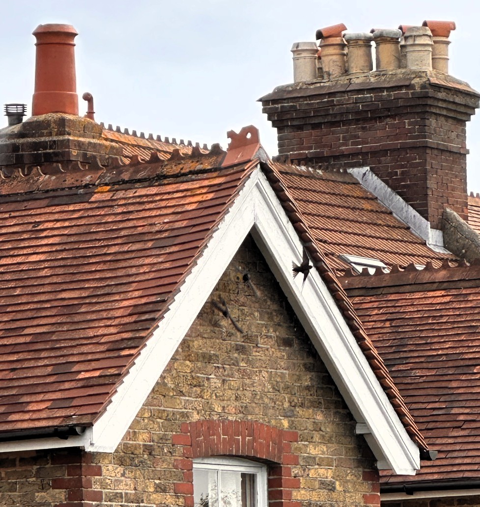 76_Prince_Edwards_Road_(2)_crop.jpeg