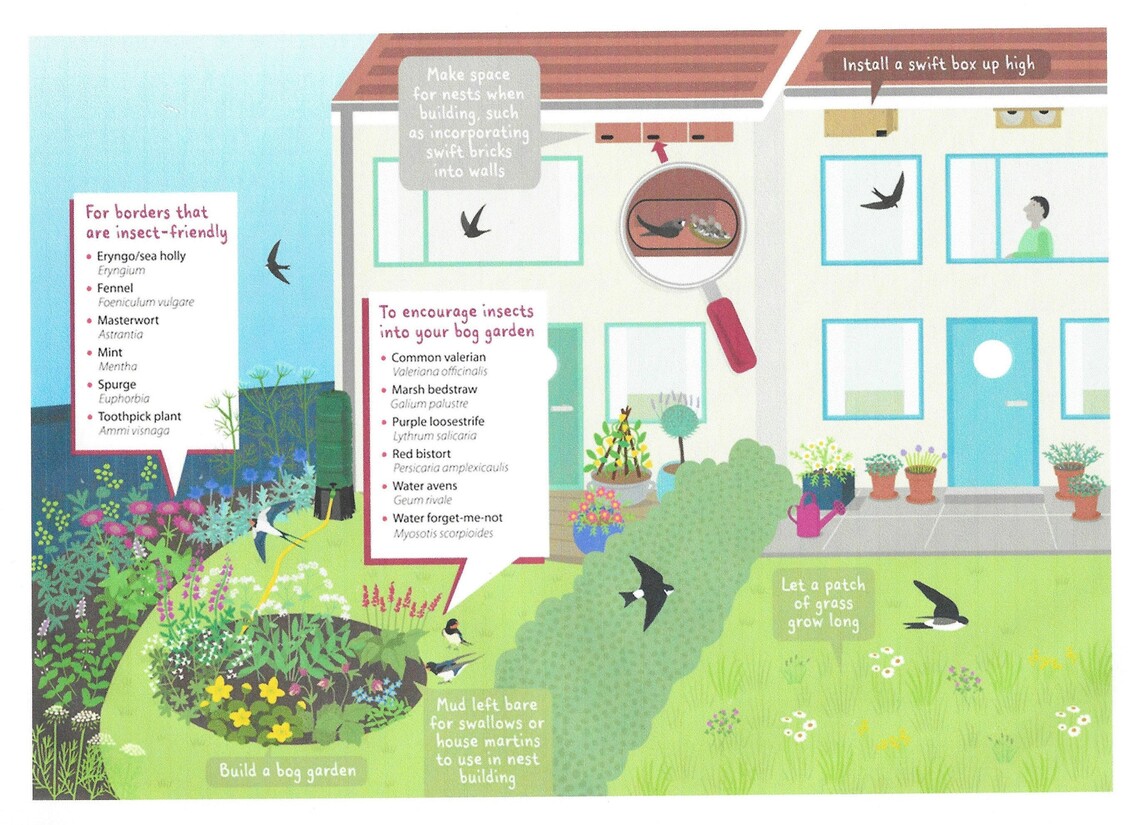 PERFECT SWIFT GARDEN 2