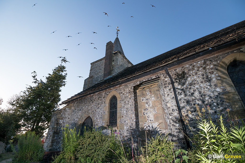 Church and Swifts