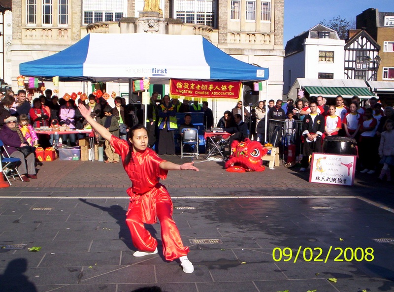 Wushu Kingston 2008