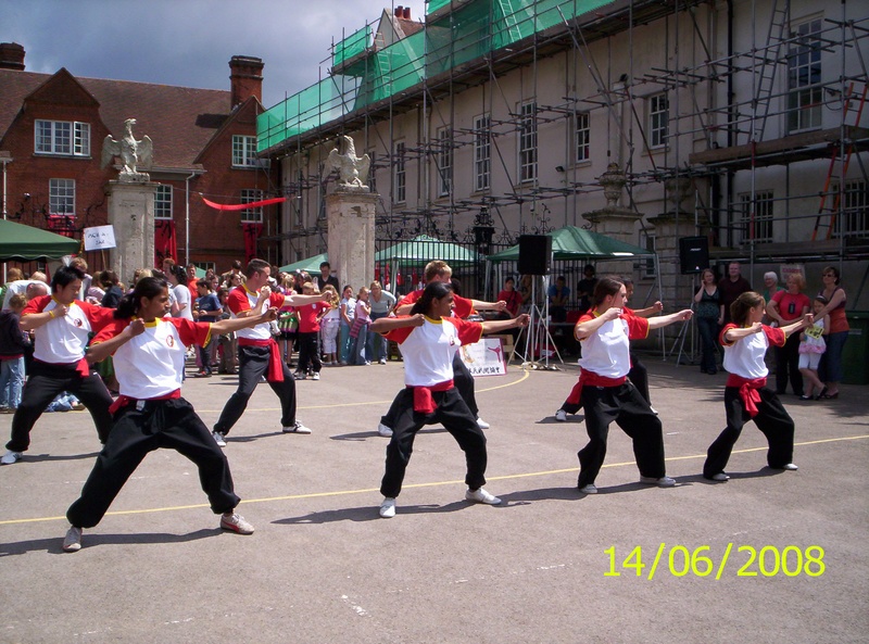 Kungfu Demo Private School 2008