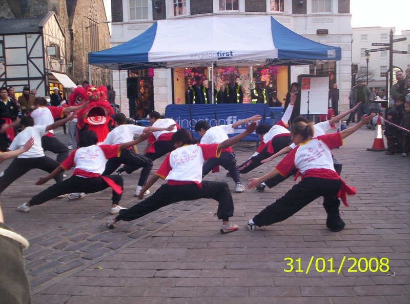 Kungfu Demo Kingston 2009