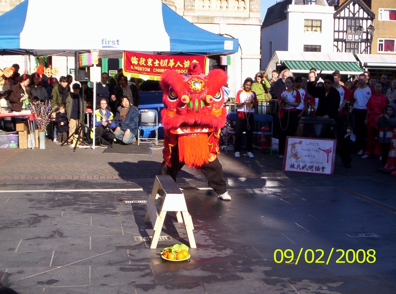 Kingston Lion Dance 2008