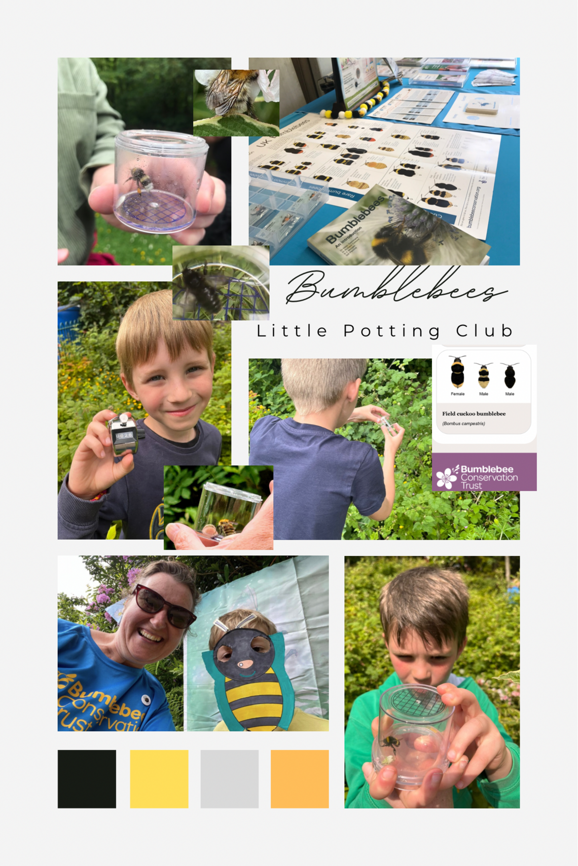 bumblebee conservation 