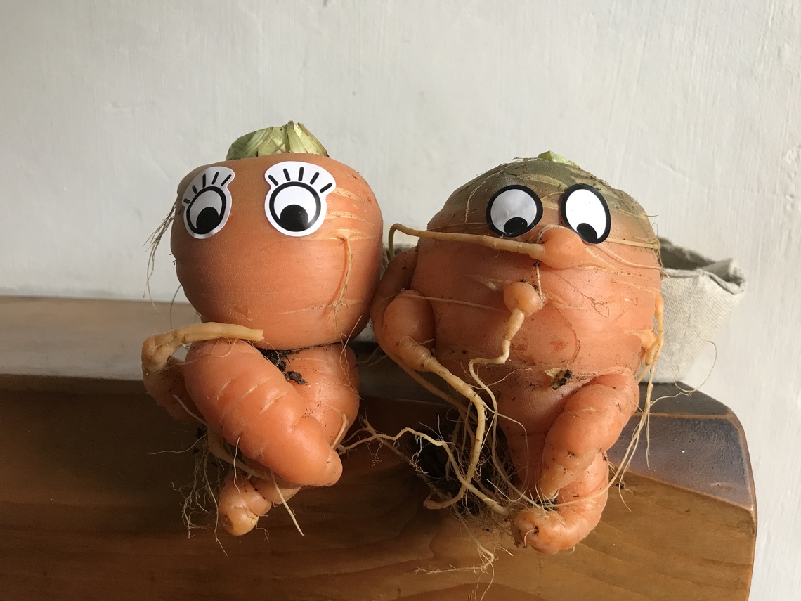 carrot couple