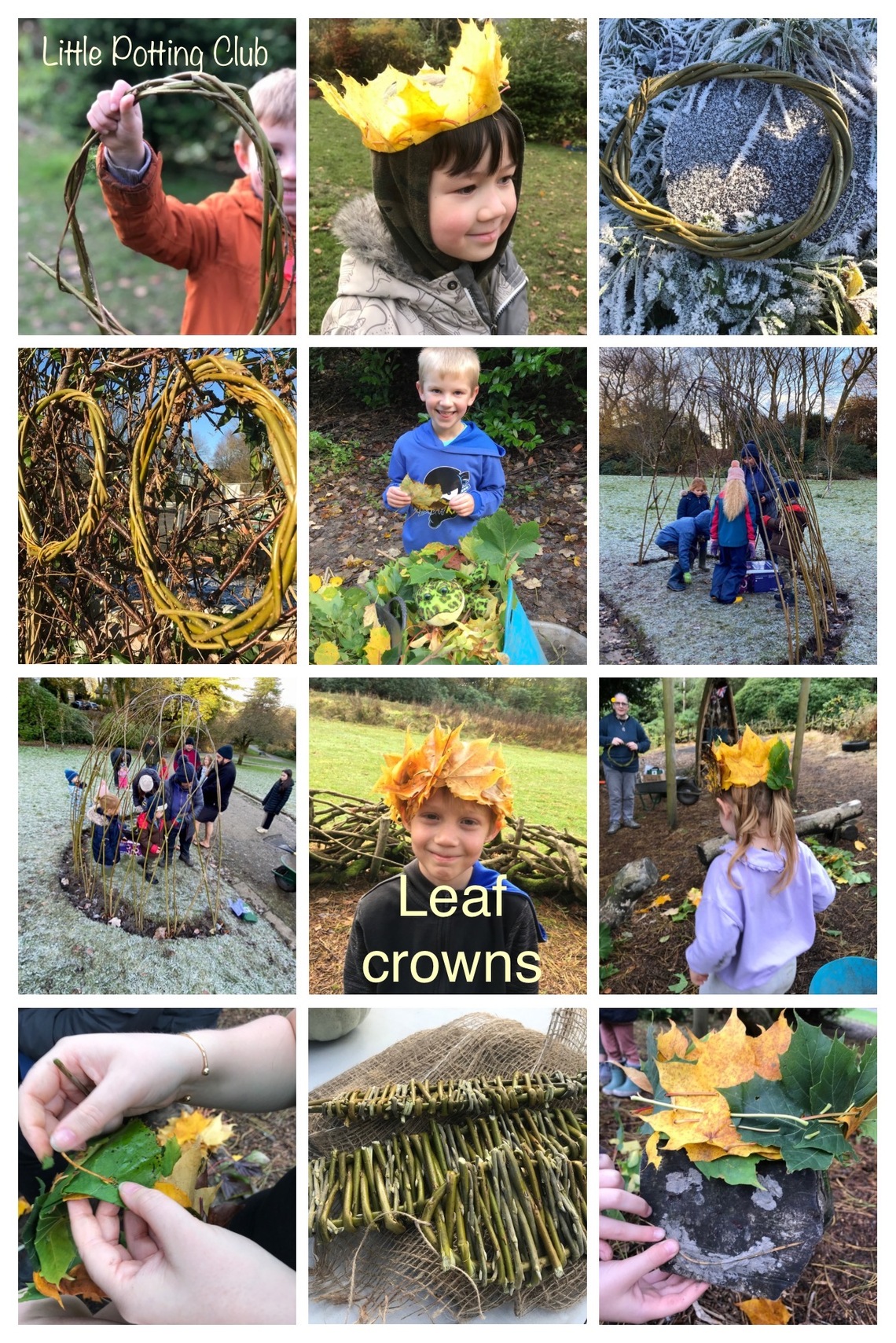 collage leaf crowns