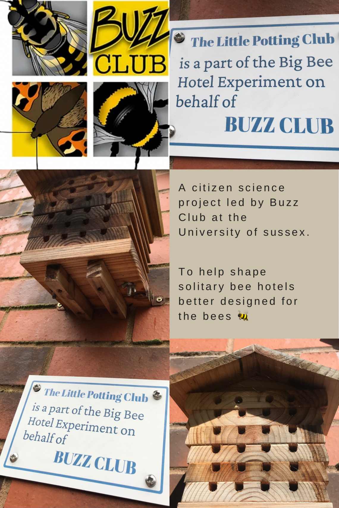 conservation pg buzz club