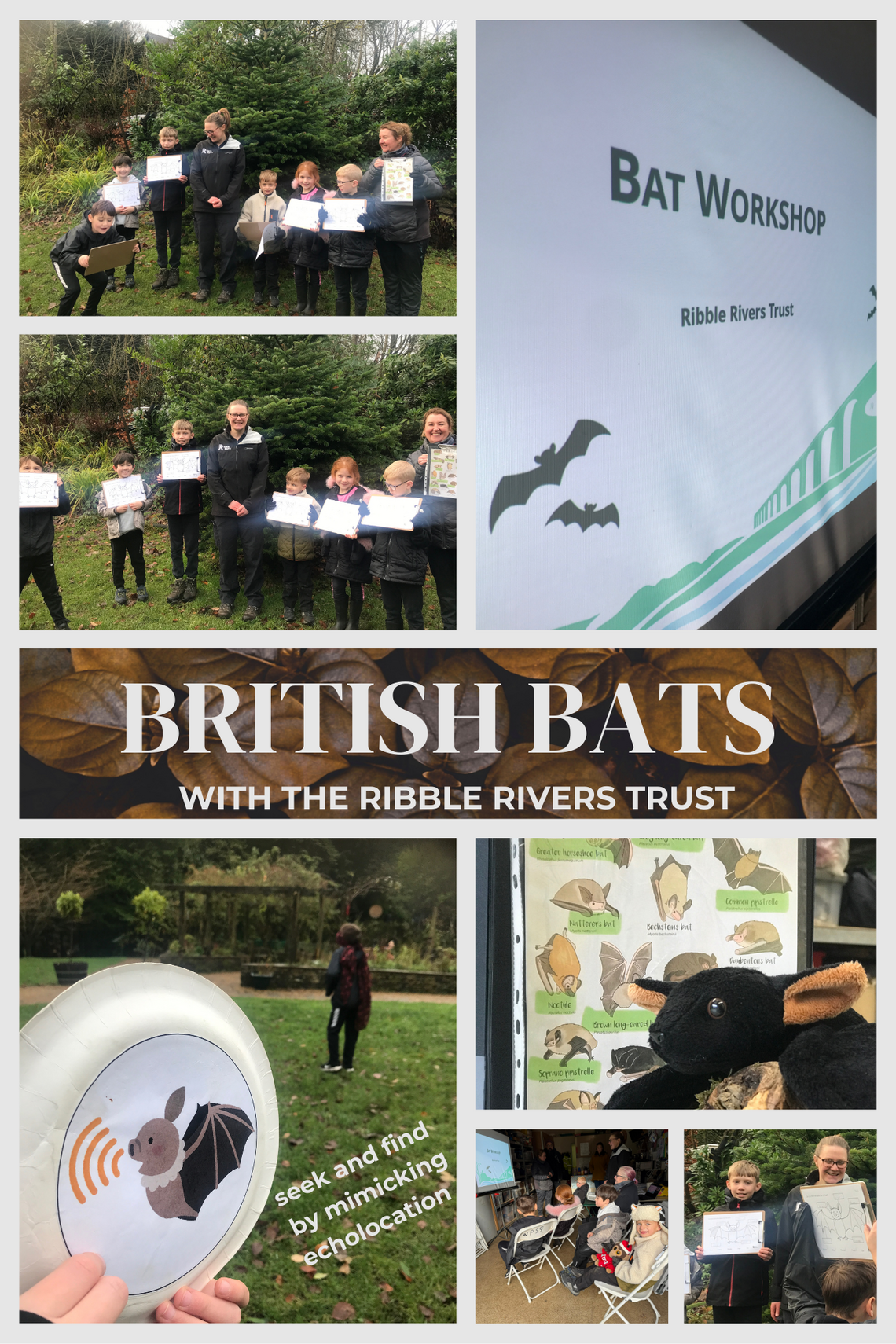 conservation pg RRT bats