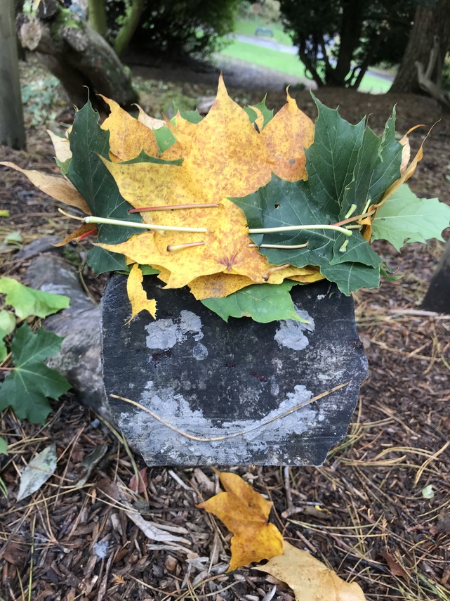 log leaf crown