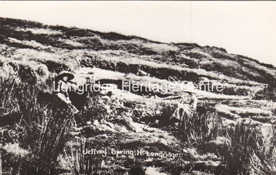 175A- Jeffery Hill - The spring near Cardwell House - Unknown