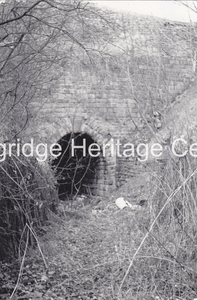 356A - Railway - Eastern Portal of the Higher Road Tunnel - 1966