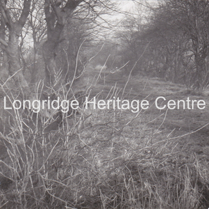 357B - Railway - Bottom line Trackbed nr Billingtons Farm - 1966