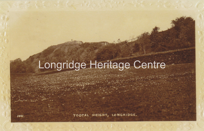 372B - Tootle Height - Looking from near Well Brow Farm - 1933