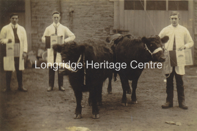 405B - Co-op slaughter house  - Berry Lane  - 1910