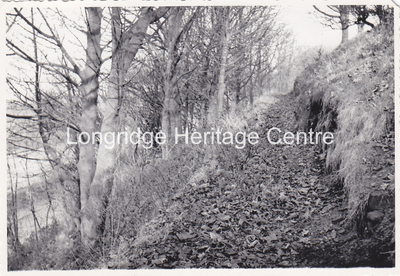 672B - Higher Road - Terrace footpath on Tootle Heights - 1970