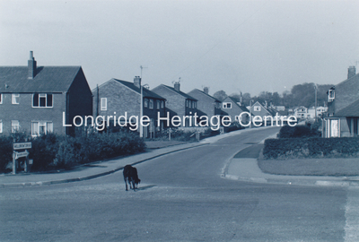 679C - Well Brow Drive - View from Green Lane - 1970