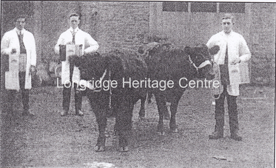 894 - Co-op building - Employees with cattle at rear of main building - Unknown