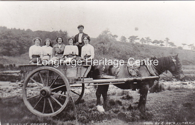 243B - Whitewell - Group in Horse cart - Unknown