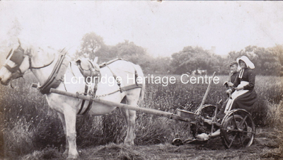 243C - Horse and Plough - No details - Unknown
