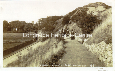 270B - Tootle Height Park - A view on the Terrace Walk towards Rock Cottage - 1915