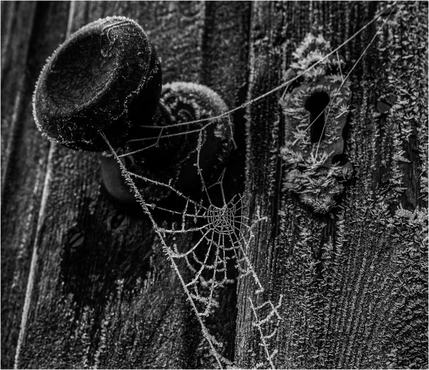 Frozen In Time - Samantha Innard