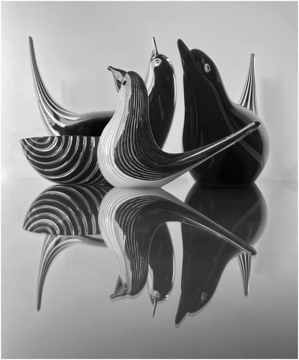 Glass on glass - Harvey Perkins
