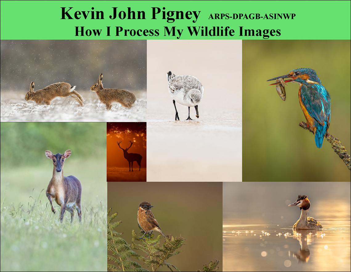 Kevin Pigney - Processing Talk Cover Image