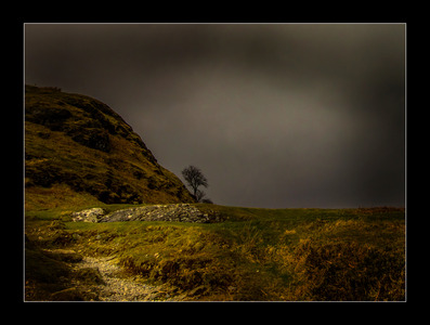 Dark Descending - Richard Woollven