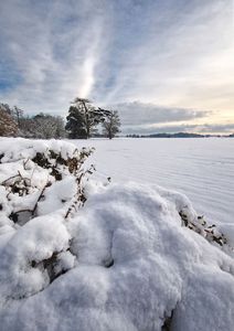 Deep  Crisp and Even - Harvey Perkins