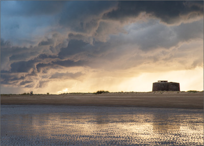 A walk on the wild side - Mark Rivers