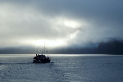 Early Morning On Milford Sound - Pat Ainger