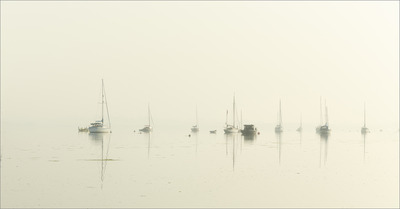 Misty Morning - Jill Sullivan