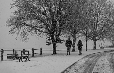 TRACKS IN THE SNOW  - Ian Parker