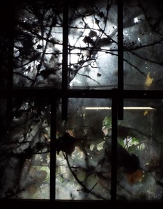 Through A Glass Darkly - Pat Ainger