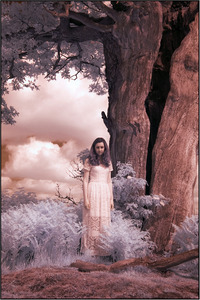 Enchanted - Mark Rivers