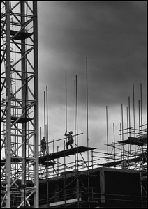 Pole Dancer  M Rivers