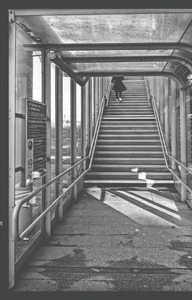 Derelict London image by Tim Stott (3)