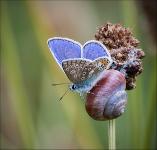 Slow ride to the top - Mark Rivers