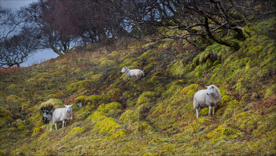 Guardians of the valley     M Rivers