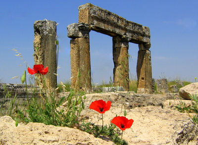 Hierapolis Poppies - Ian Bancroft 