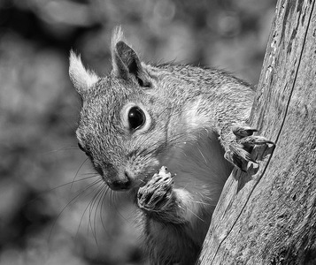 This is my best side! - Ann Laverock