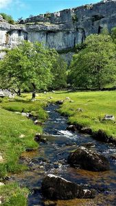Malham Calm - Colin Bailey