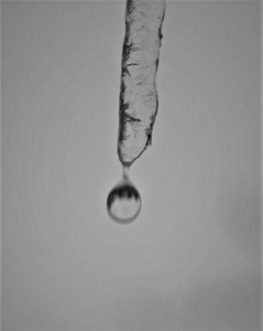 Melting Point - Julie Humphries