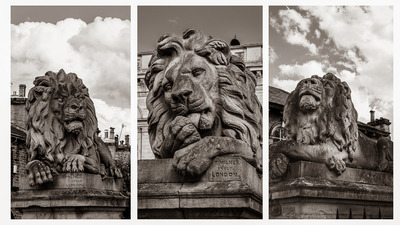 Watching & Waiting - Pat Ainger