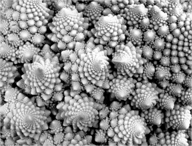 Whorls and Twirls - Jill Sullivan