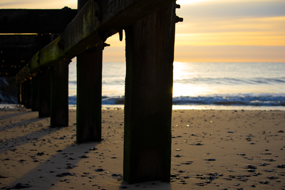Beach Silhouettes - Anne Franks