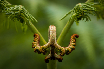 I Can See You - Pat Ainger