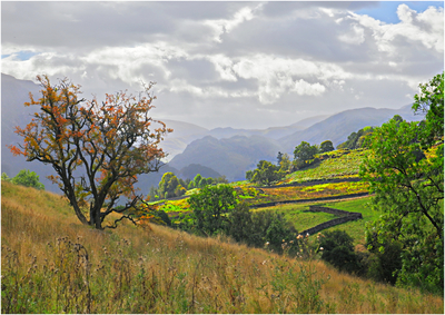 Sunny interval - Harvey Perkins
