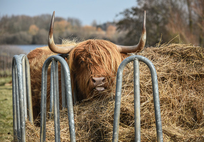 Got My Eye on You - Martyn Scurrell